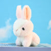 A small, fluffy pink and white plush bunny toy is shown against a light blue background.