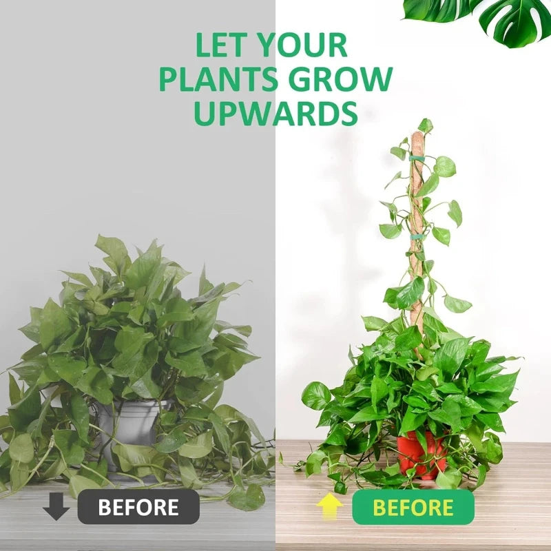 80cm Bendable Coco Coir Moss Pole for Climbing Plants