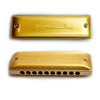 Kongsheng M1 10-Hole Diatonic Harmonica in C