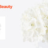 A close-up of white silk hydrangea petals used for mimicking real blooms.