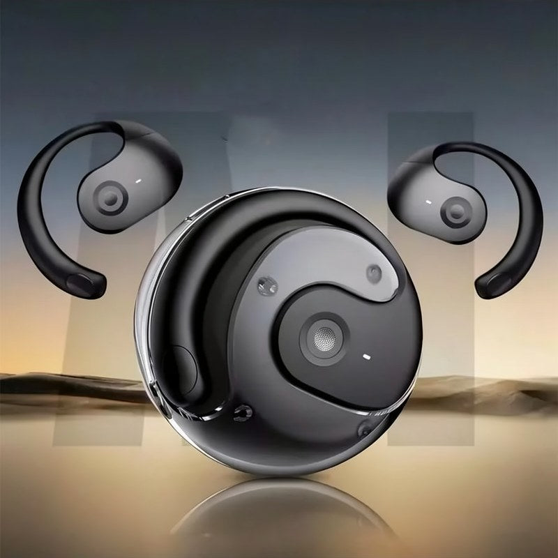 Real-Time Translation Earbuds
