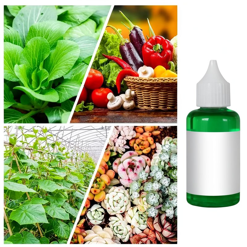 Plant Revitalizer Liquid - Root Growth & Bloom Booster