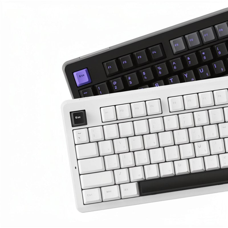 Tri-Mode TKL Mechanical Keyboard with Hot-Swap & RGB