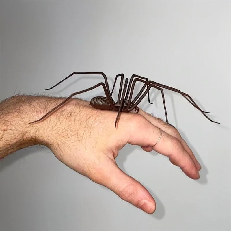 Une araignée brune réaliste repose sur la main d'une personne.