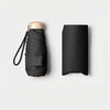 Compact 5-Fold Pocket Umbrella